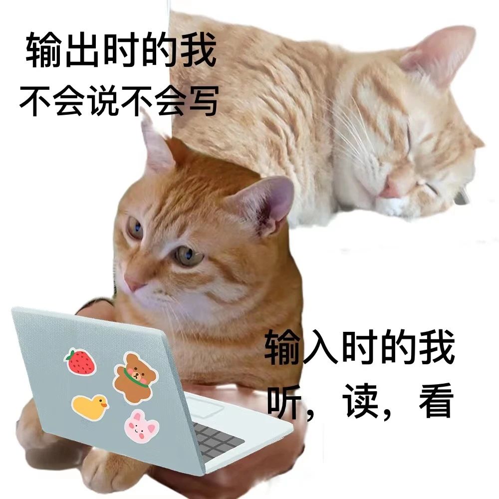 1686287873719197.jpeg DM_20230609131549_007.JPEG
