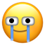DM_20230609140708_003.PNG