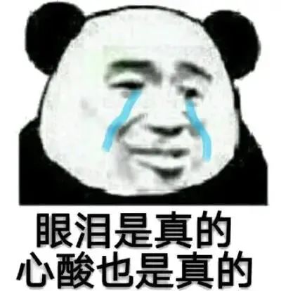 1686291512103797.jpeg DM_20230609140708_004.JPEG