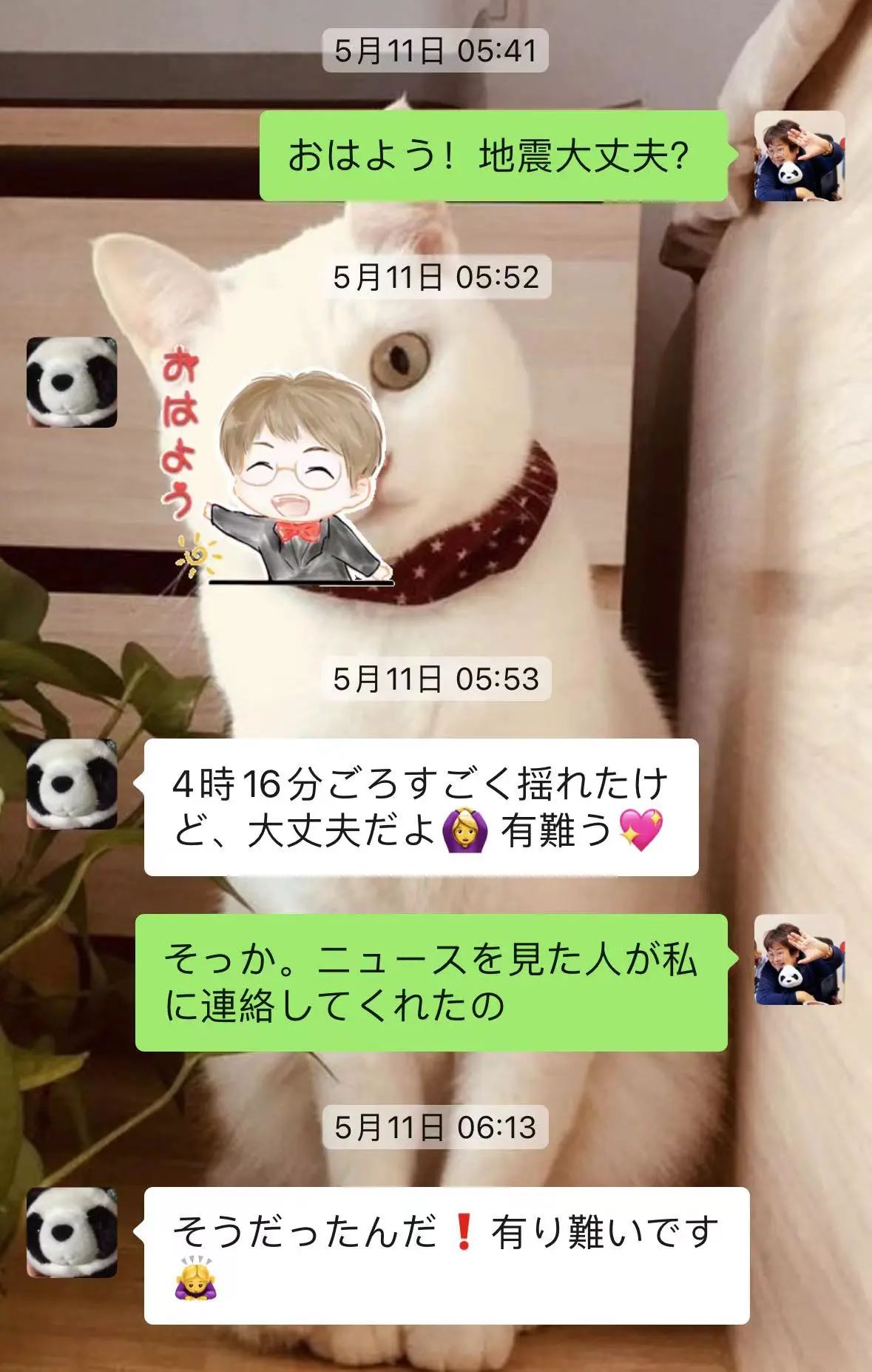 1686631147236438.jpeg DM_20230613123421_004.JPEG