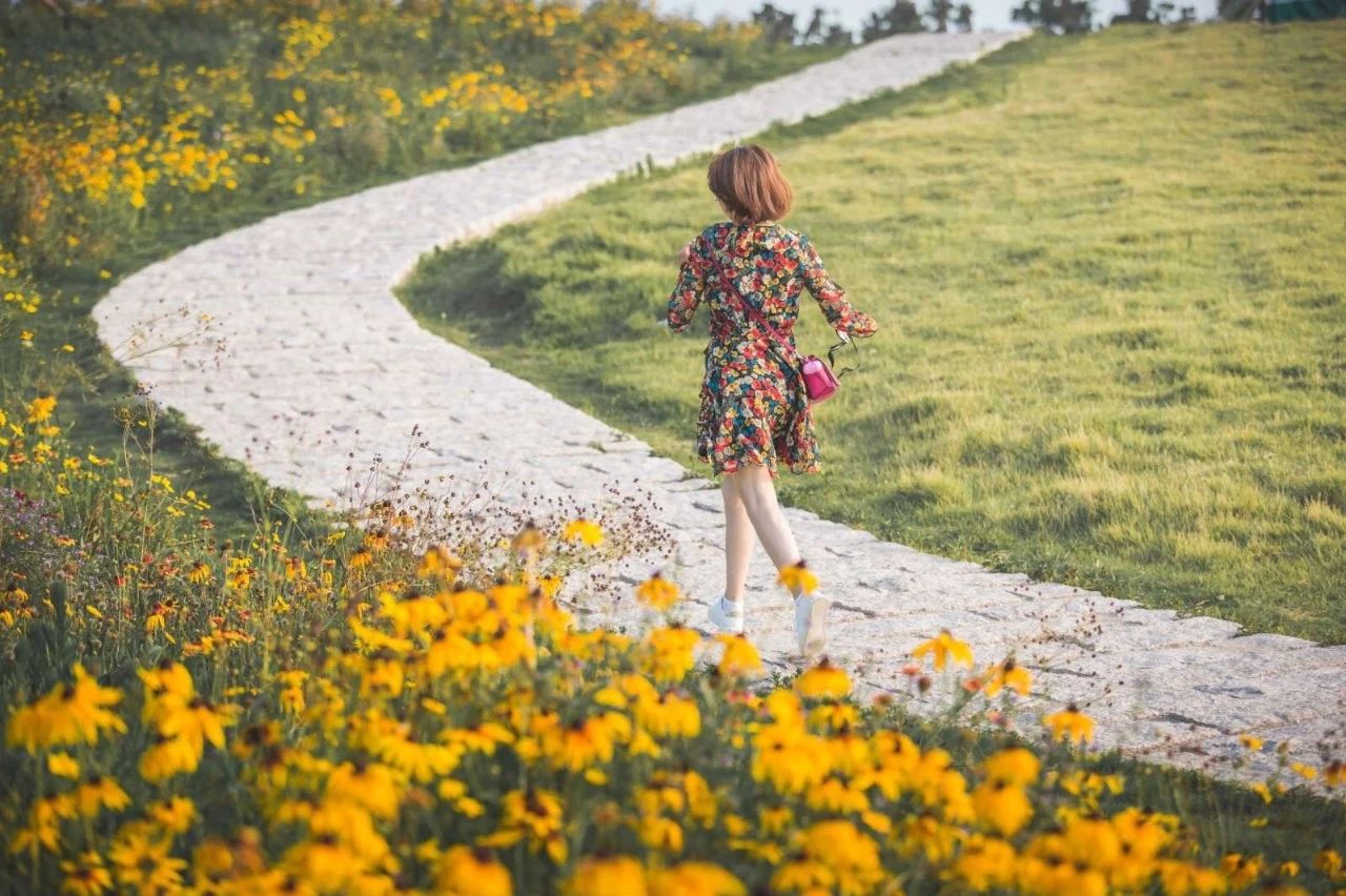 1686808759518749.jpeg DM_20230615135719_005.JPEG