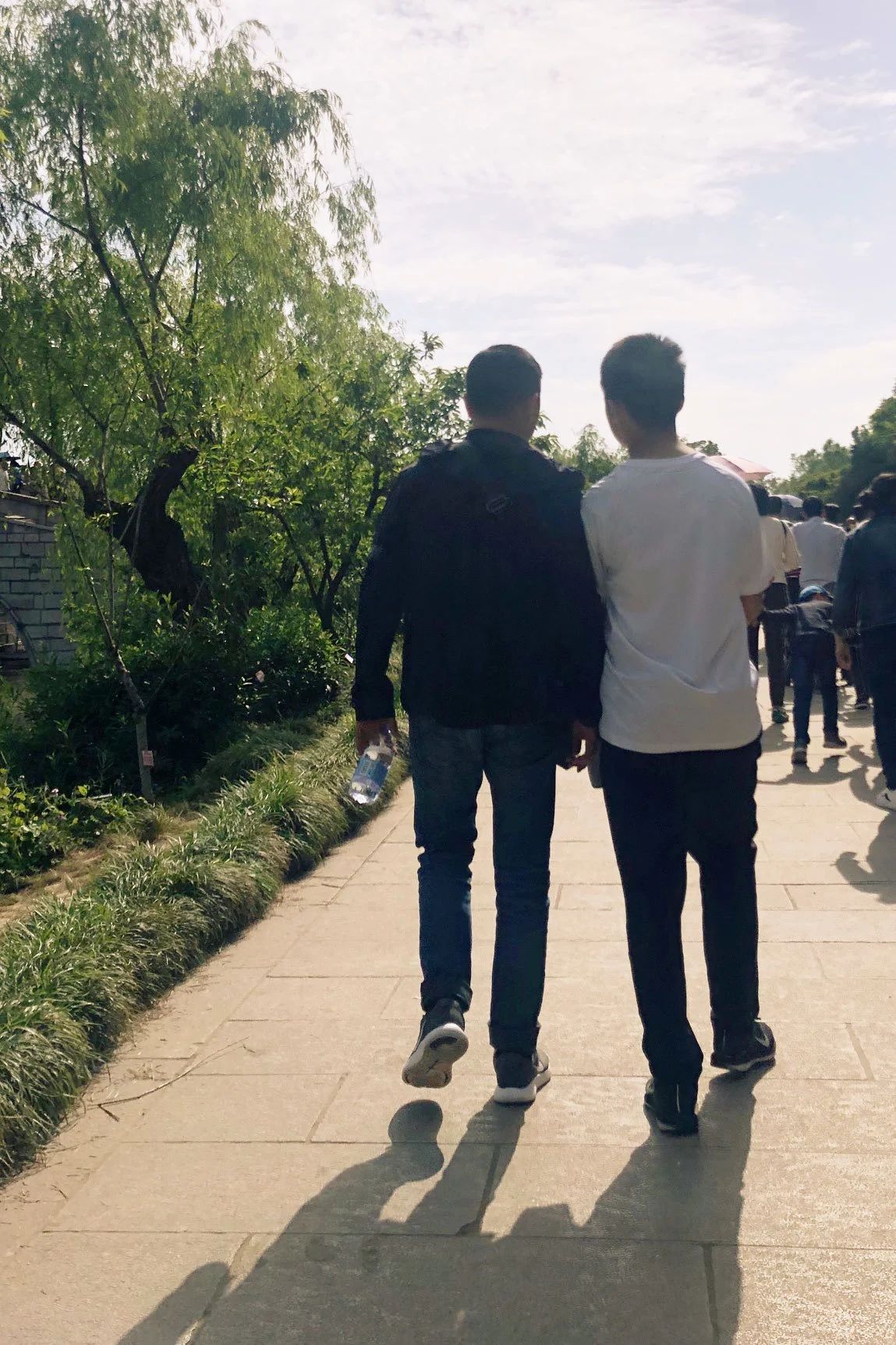 1686808800472757.jpeg DM_20230615135719_008.JPEG