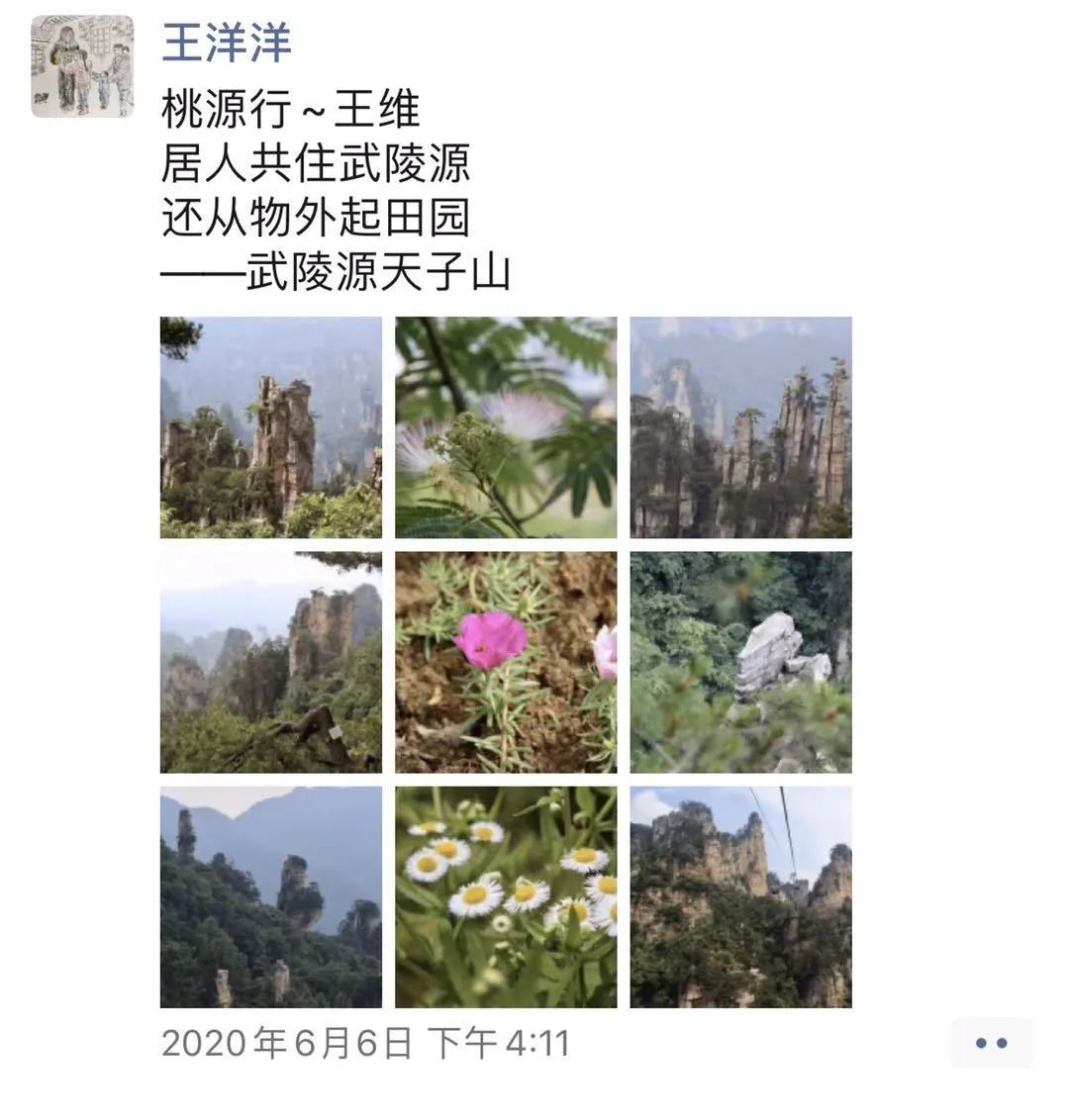 1686810393343218.jpeg DM_20230615142036_006.JPEG