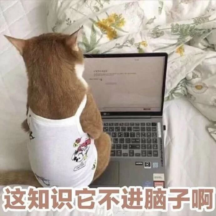 1686814439554246.jpeg DM_20230615152947_007.JPEG