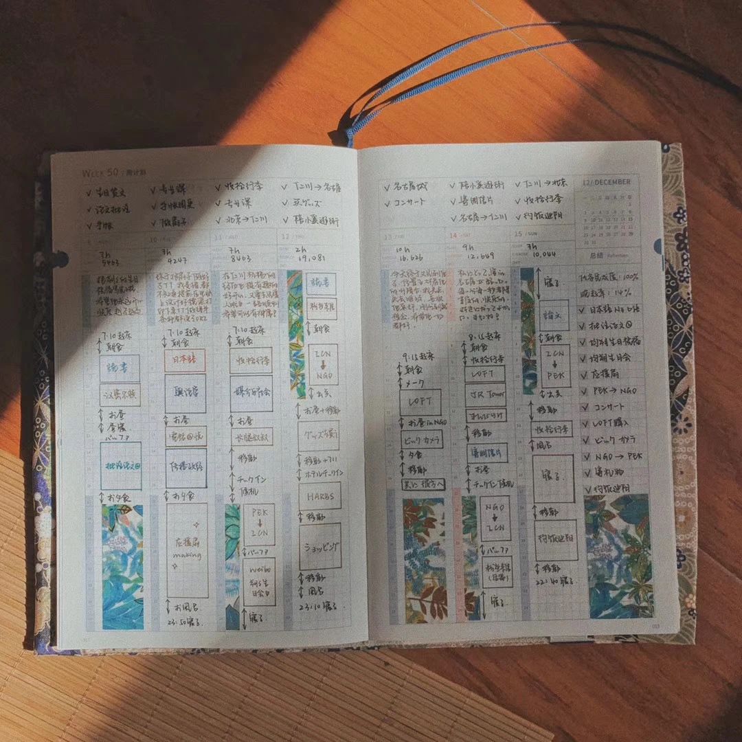 1686897816192375.jpeg DM_20230616143814_016.JPEG