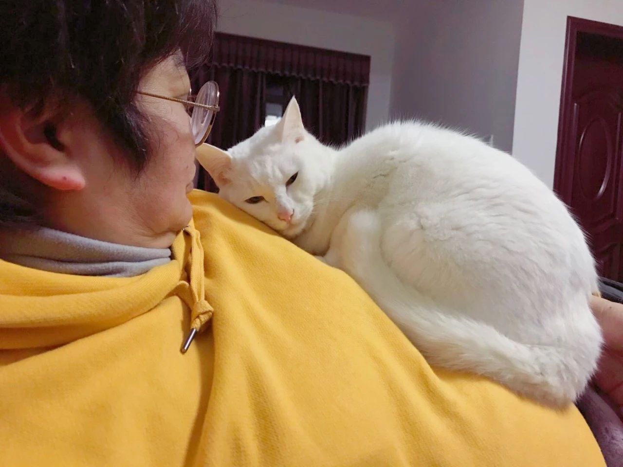 1686898816755152.jpeg DM_20230616145739_005.JPEG