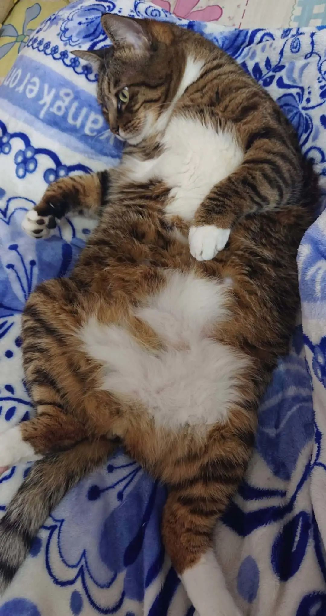 1686899387164721.jpeg DM_20230616145739_011.JPEG