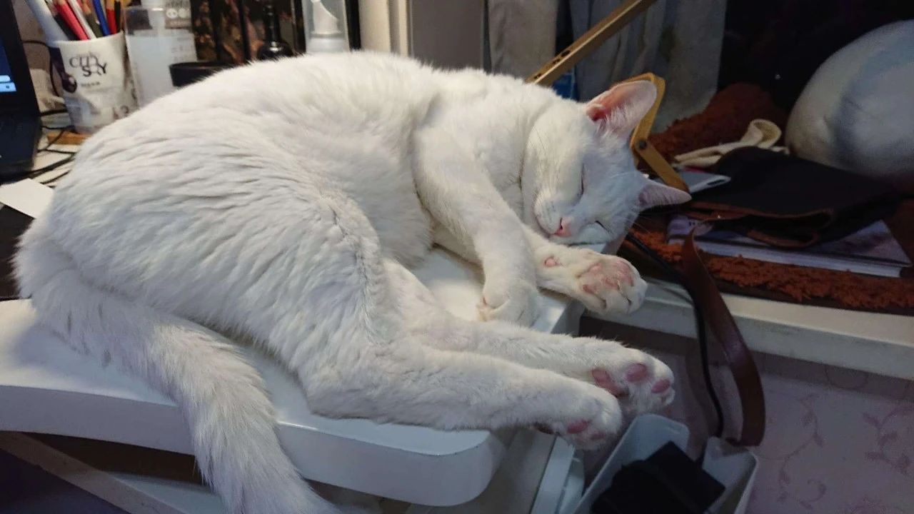 1686899400114497.jpeg DM_20230616145739_012.JPEG