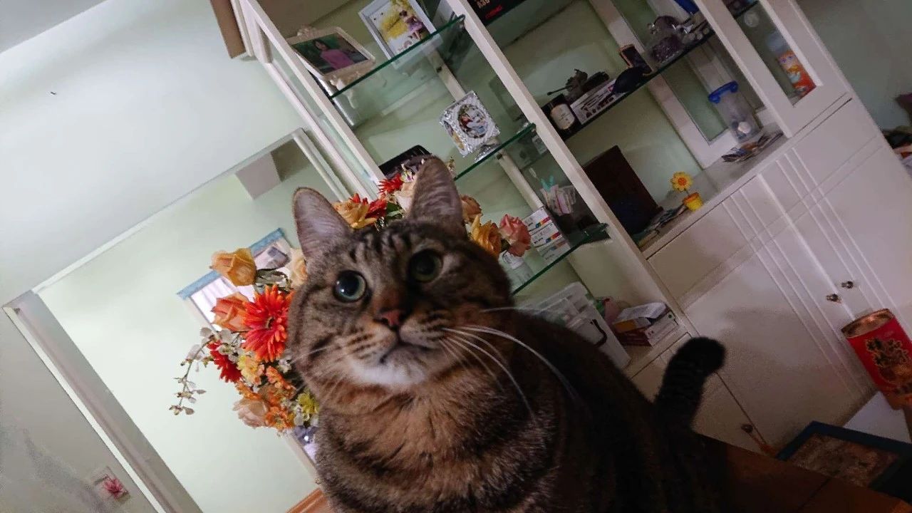 1686899413409035.jpeg DM_20230616145739_013.JPEG