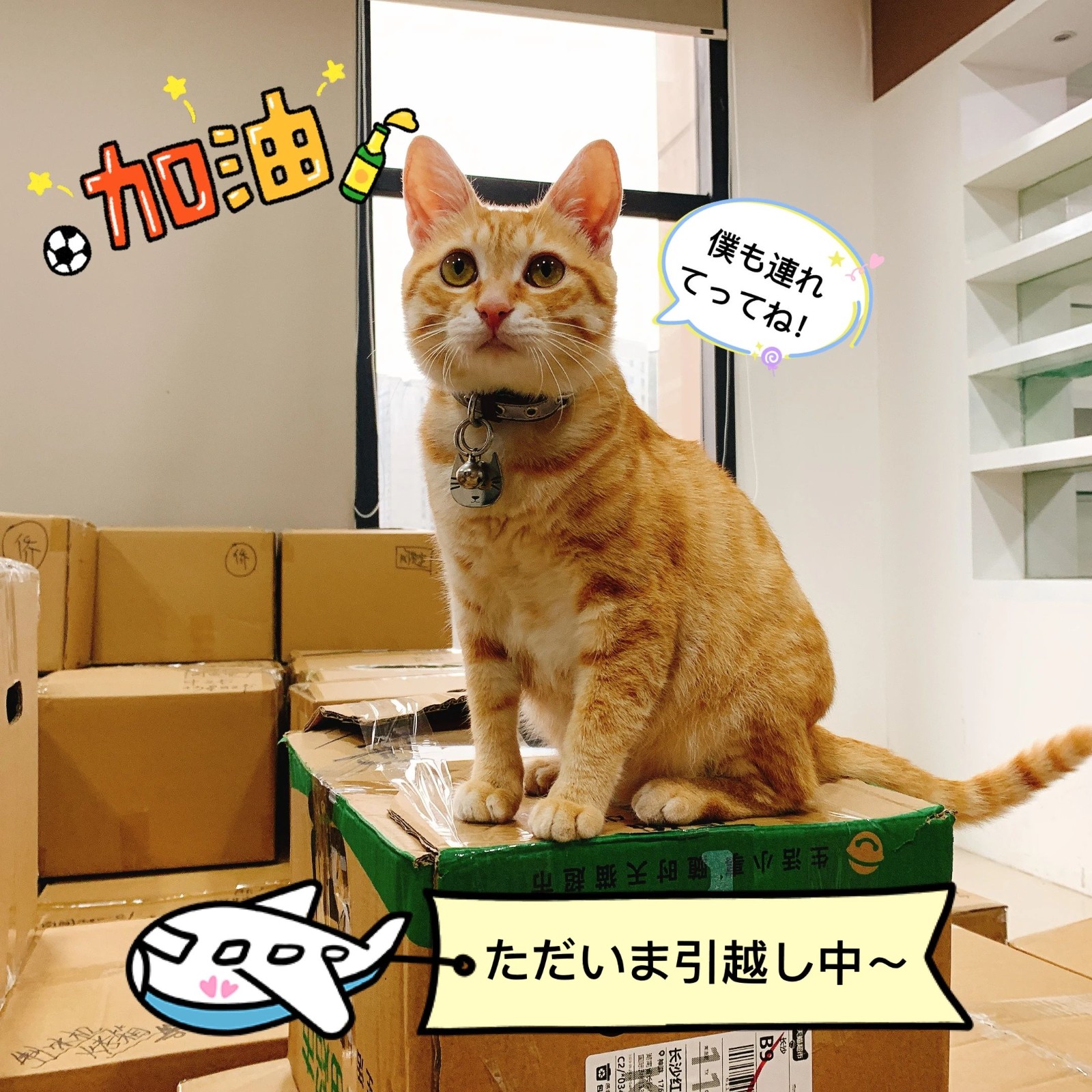 1687151860885589.jpeg DM_20230619131225_019.JPEG