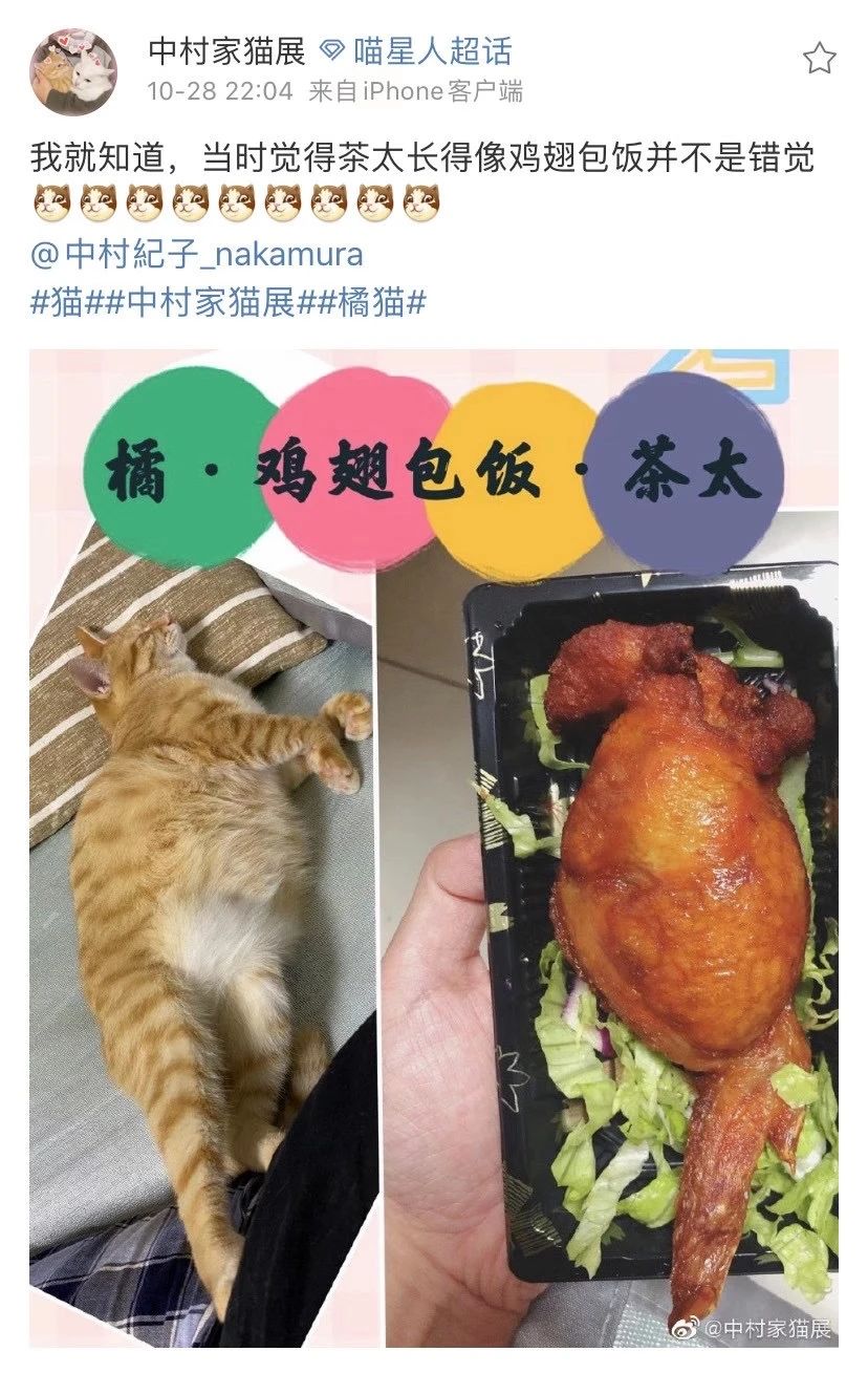 1687151873104599.jpeg DM_20230619131225_020.JPEG