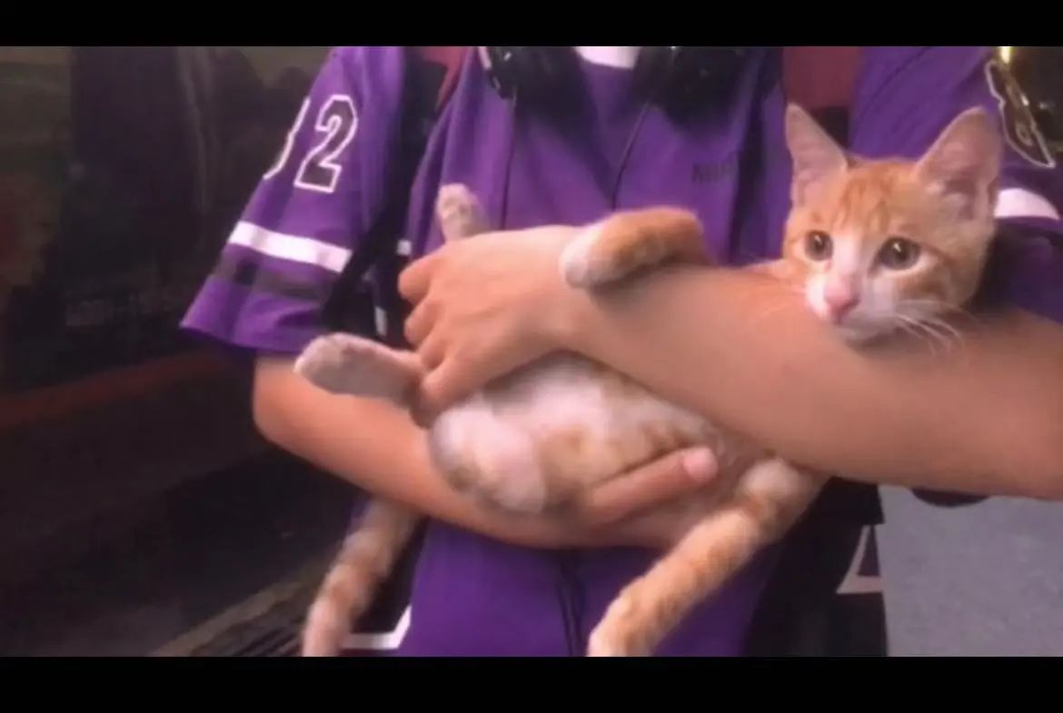 1687151904994599.jpeg DM_20230619131225_021.JPEG