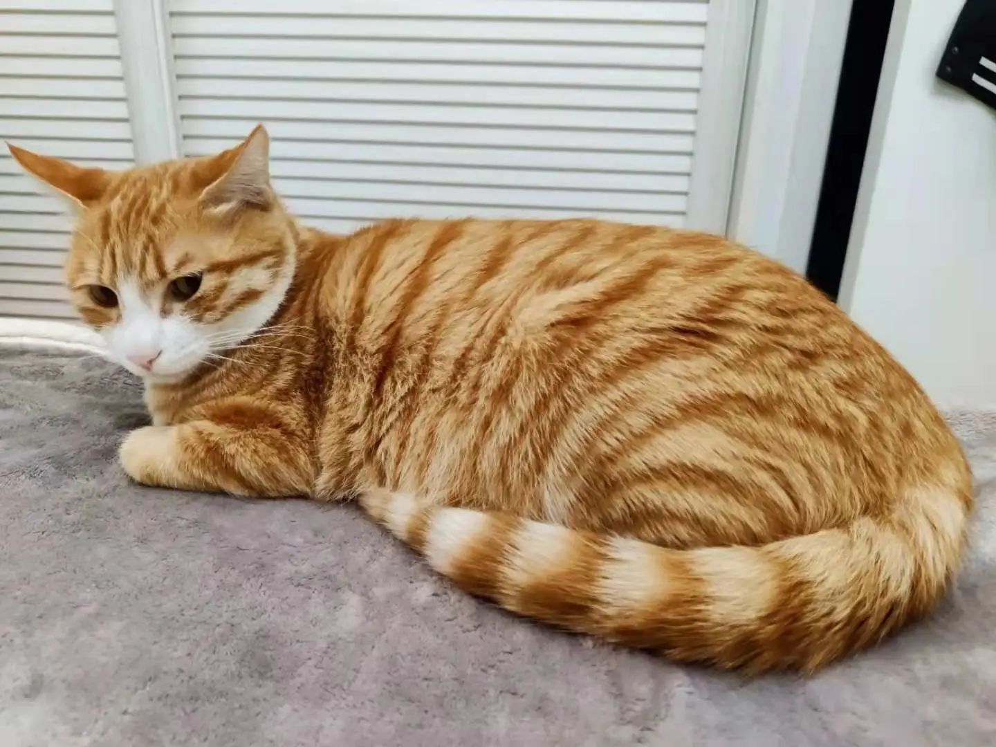 1687151940442845.jpeg DM_20230619131225_023.JPEG