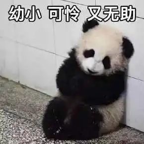 1687154030837716.jpeg DM_20230619135018_008.JPEG