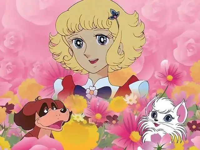 1687156588292787.jpeg DM_20230619142827_005.JPEG