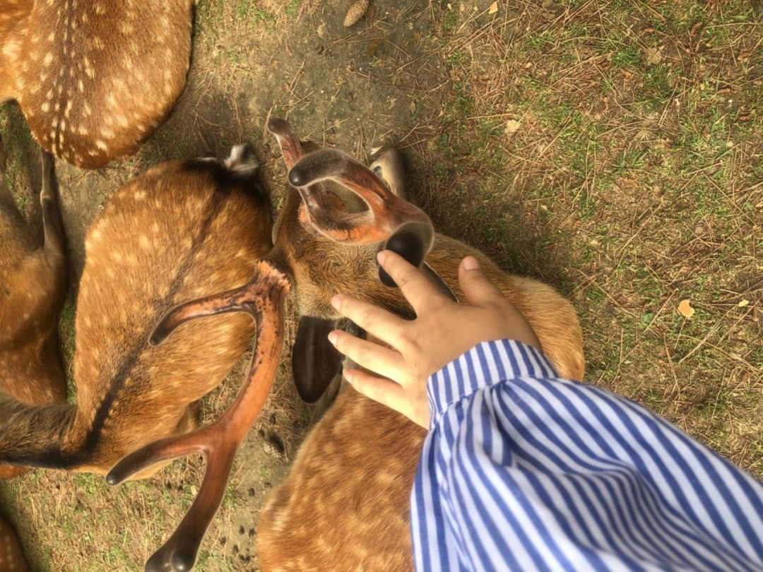 1687156653978107.png DM_20230619142827_009.PNG