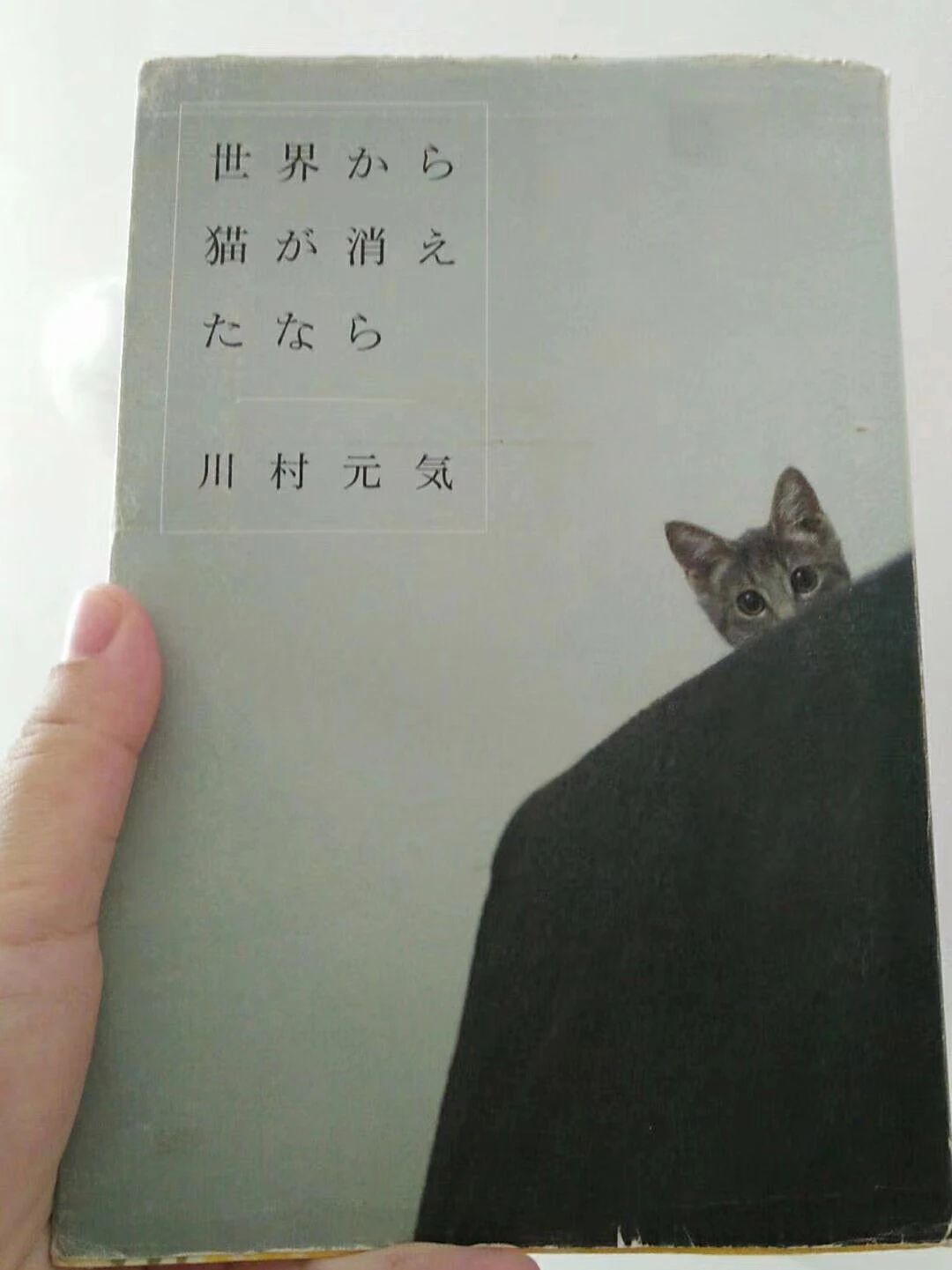 1687160553267212.jpeg DM_20230619153802_008.JPEG