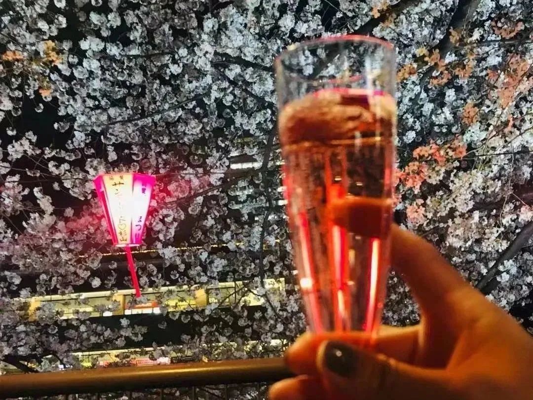 1687161653923146.jpeg DM_20230619155718_003.JPEG