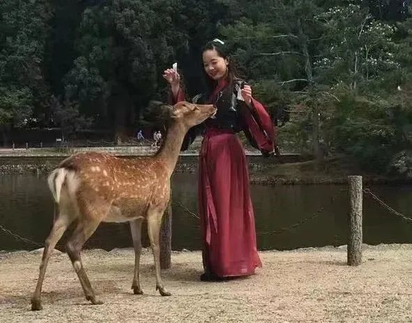 1687161681962801.jpeg DM_20230619155718_006.JPEG