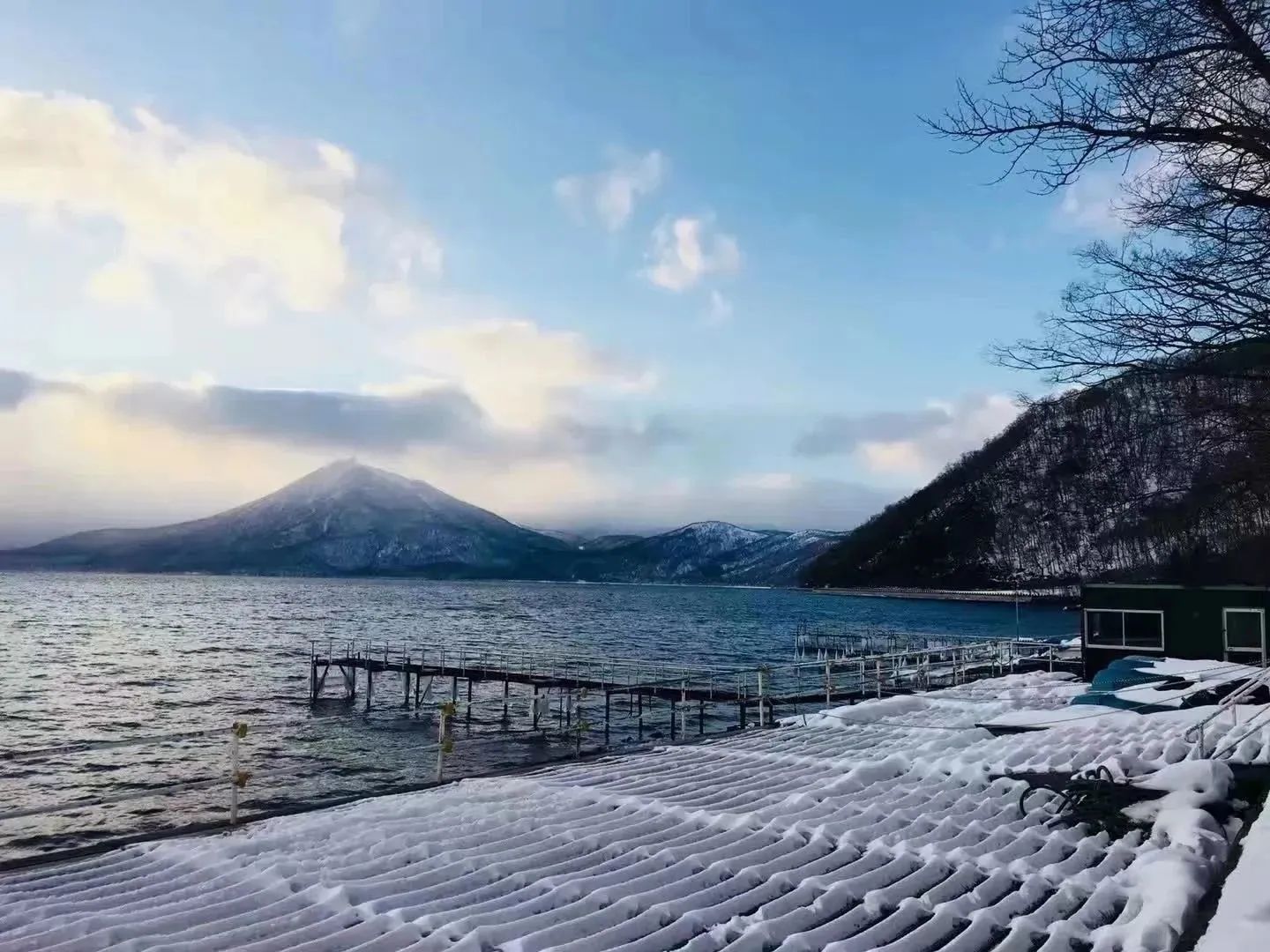 1687161919967405.jpeg DM_20230619155718_010.JPEG