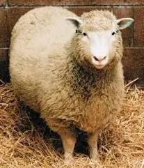 1687164537626292.jpeg DM_20230619164105_009.JPEG