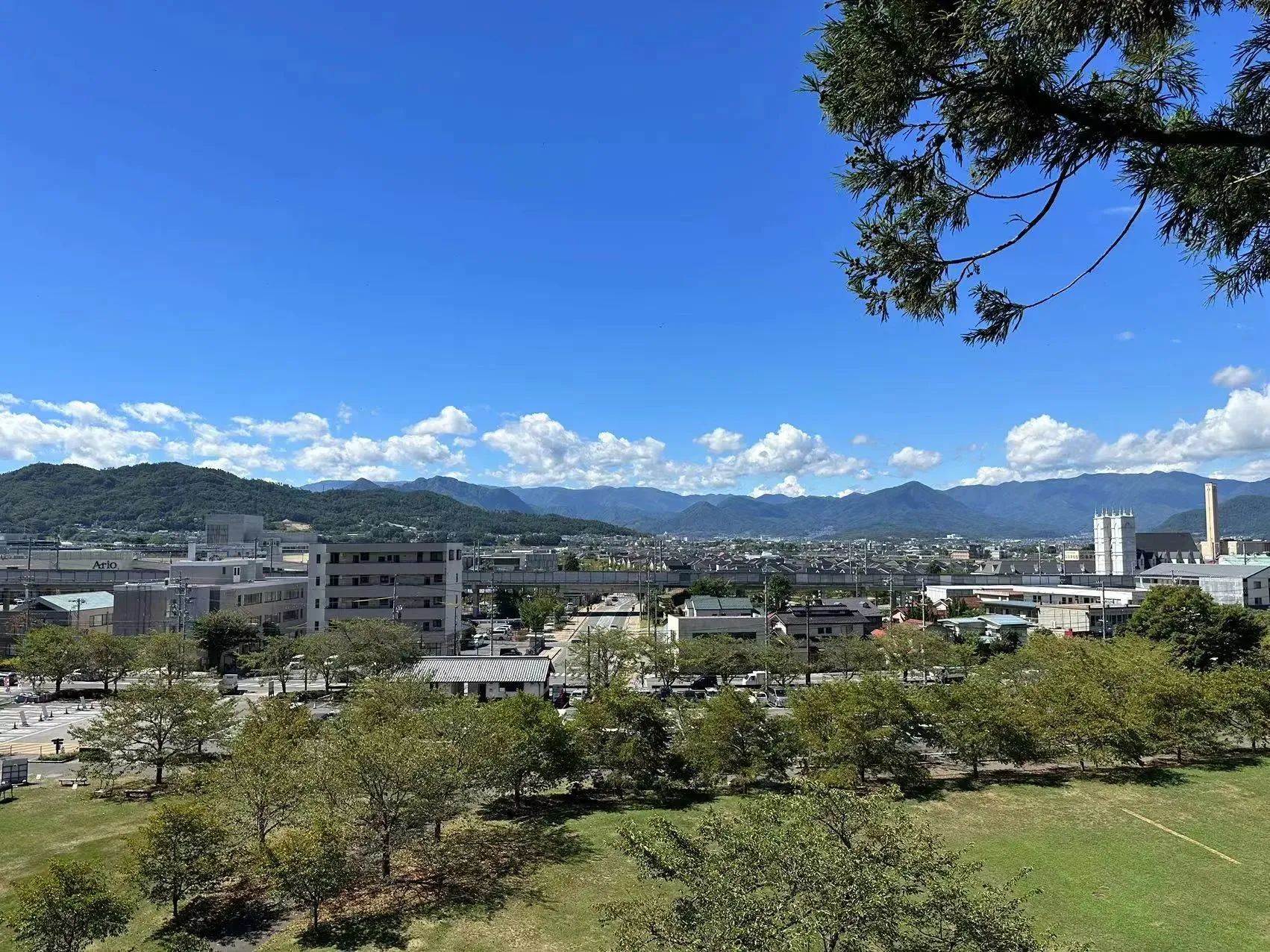 1694583730601178.jpeg DM_20230913133427_018.JPEG