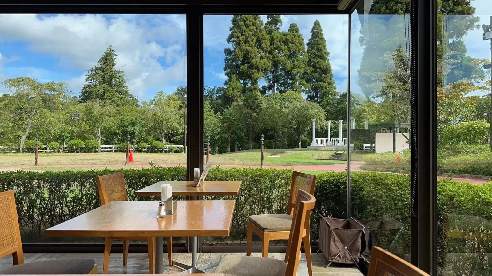 1694583829802992.jpeg DM_20230913133427_028.JPEG