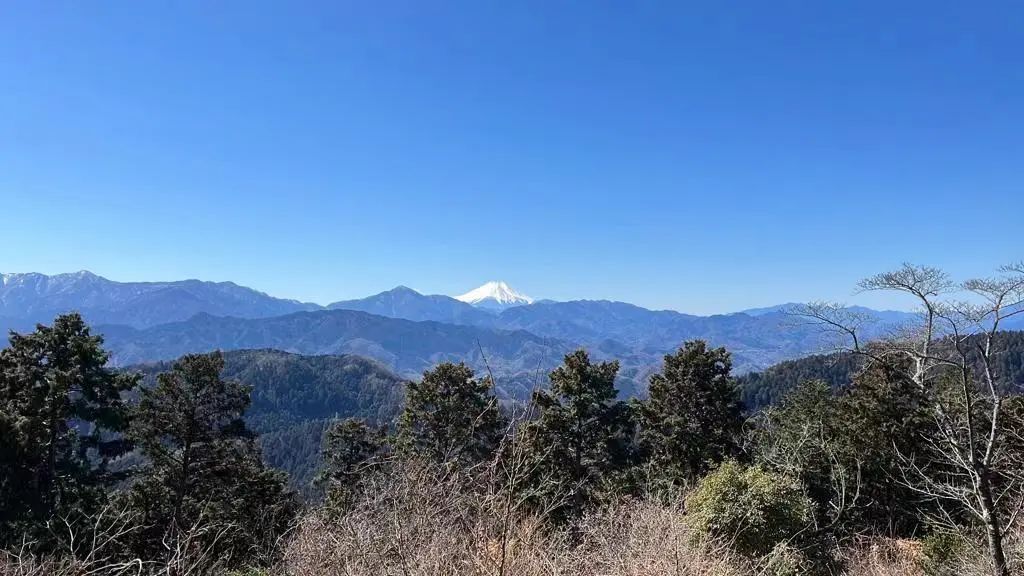 1697605177538884.jpeg DM_20231018125707_004.JPEG