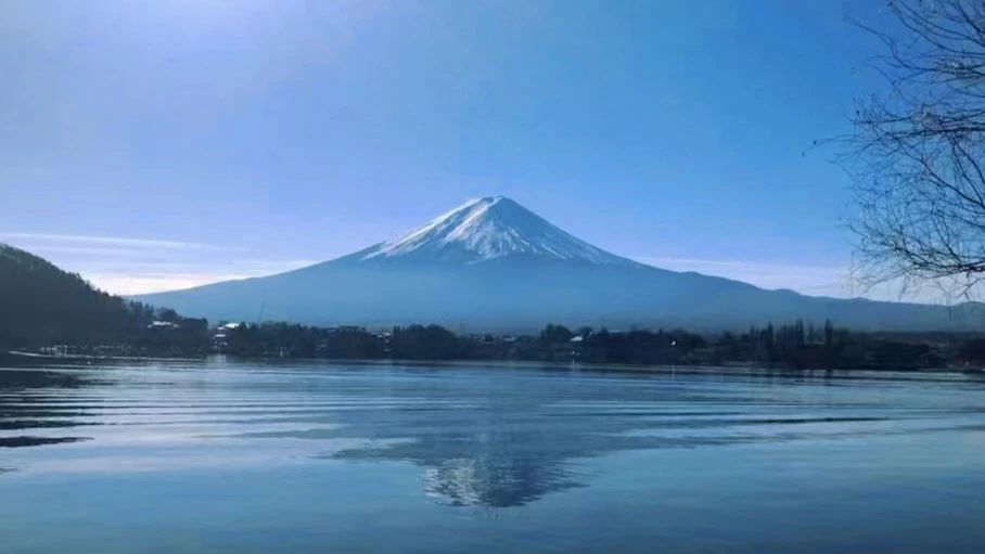 1697605184474078.jpeg DM_20231018125707_005.JPEG