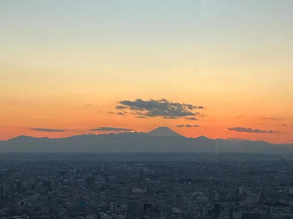 1697605194878866.jpeg DM_20231018125707_006.JPEG