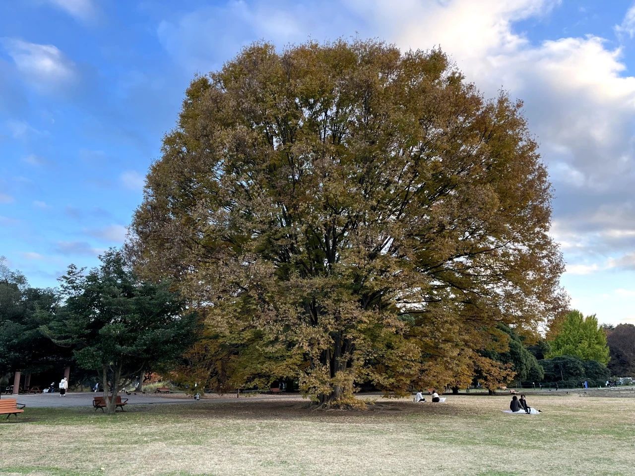 1701837507859532.jpeg DM_20231206123642_002.JPEG