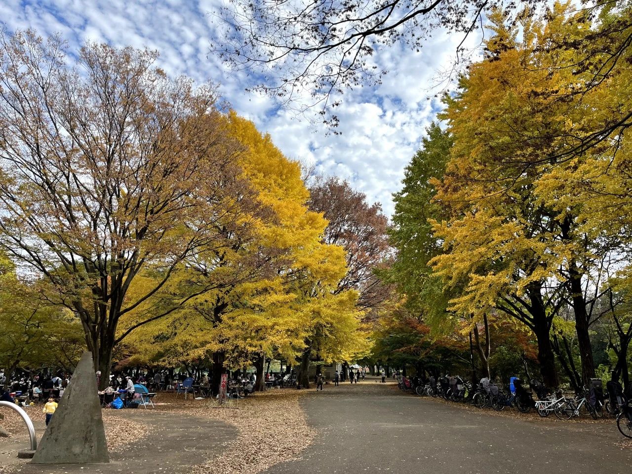 1701837524276804.jpeg DM_20231206123642_004.JPEG