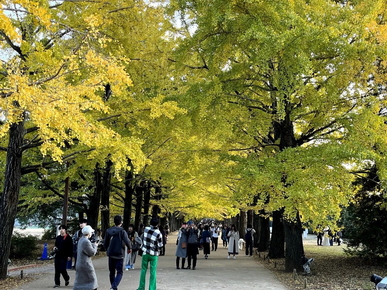 1701837542226284.jpeg DM_20231206123642_006.JPEG