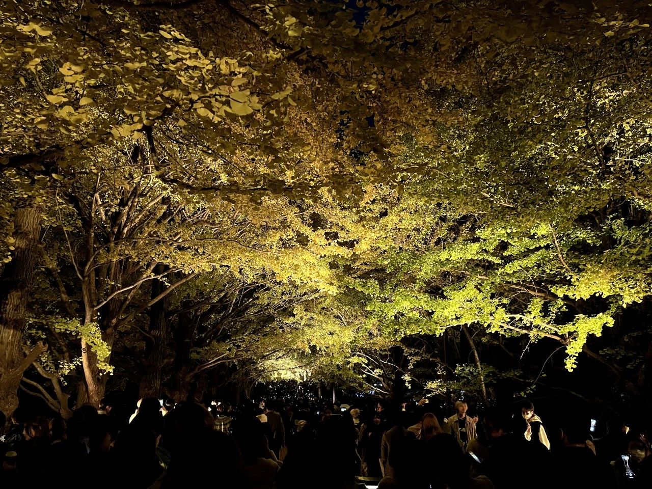 1701837559415023.jpeg DM_20231206123642_008.JPEG