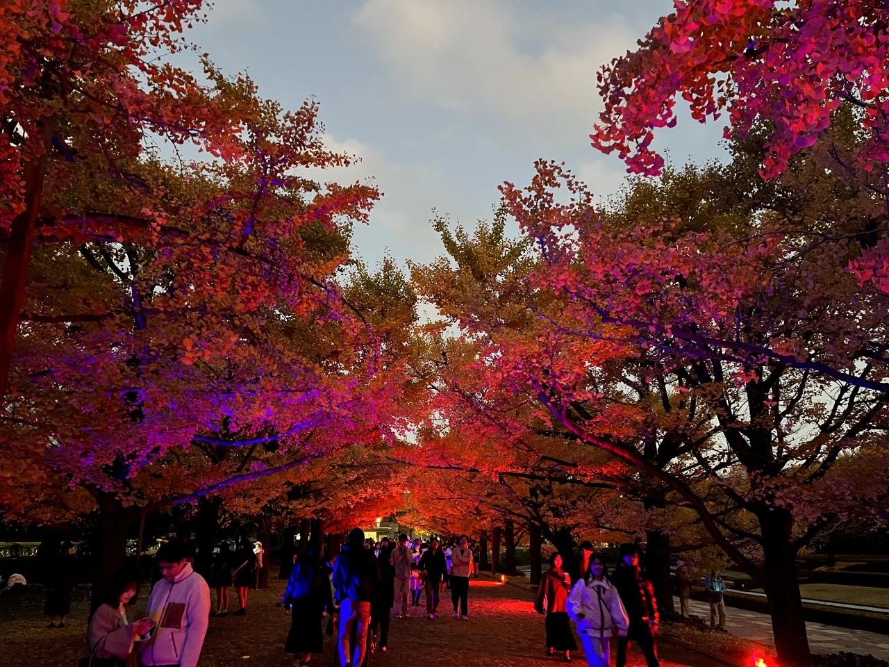 1701837567757459.jpeg DM_20231206123642_009.JPEG