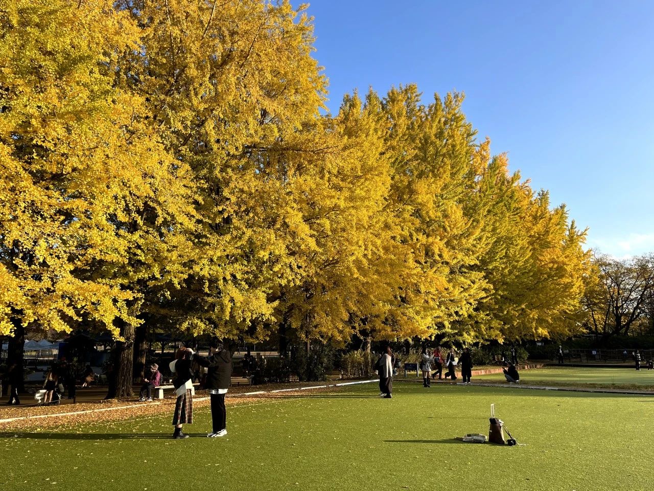 1701837579181837.jpeg DM_20231206123642_010.JPEG